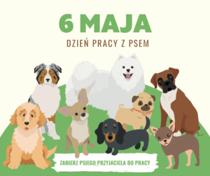 Dzień pracy z psem