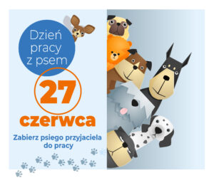 Dzień pracy z psem