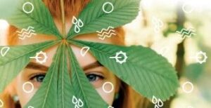 Przystąpienie do miejskiej inicjatywy „Pakt dla klimatu”